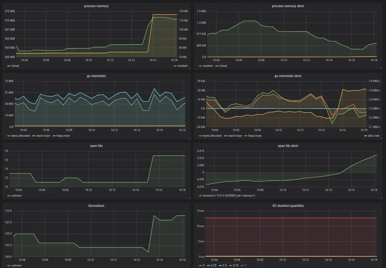 Golang process data regarding cAdvisor