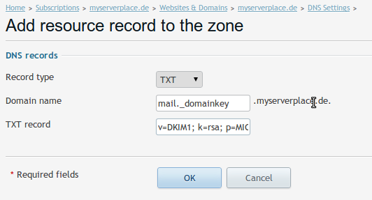 Как правильно прописать dkim в dns